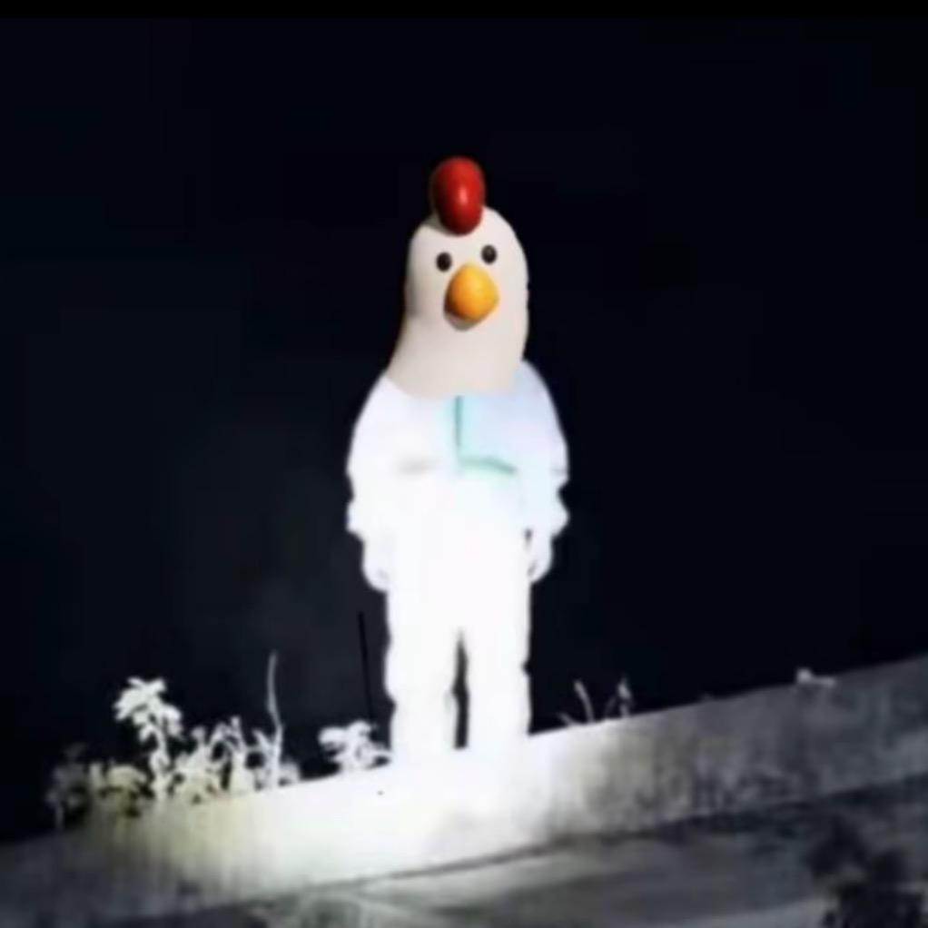 星川莉莉的莉莉