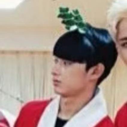 苹果树开果果了