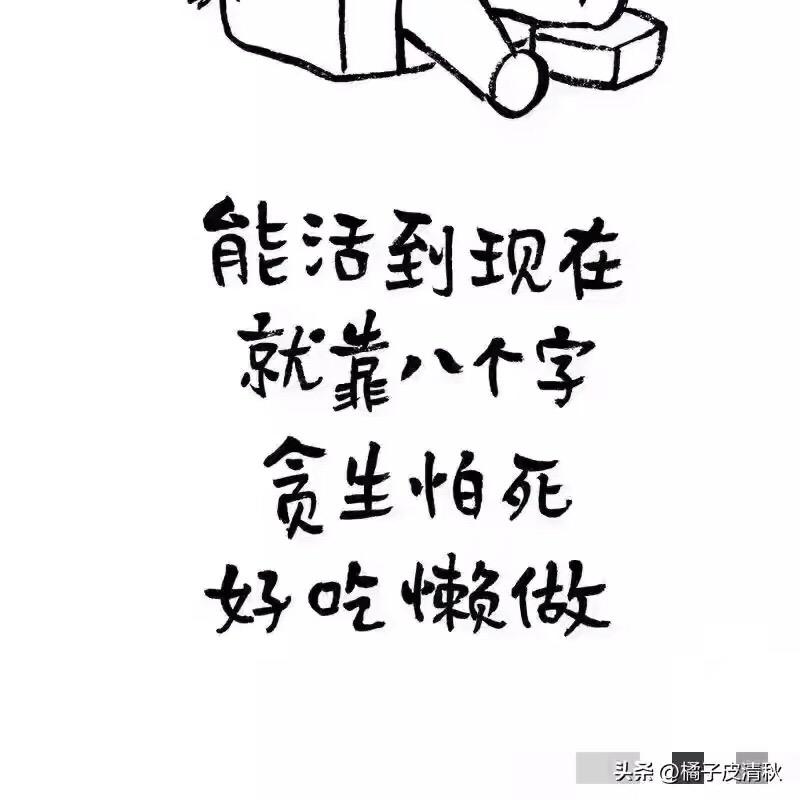 🥇唐伯虎养蚊子🦟