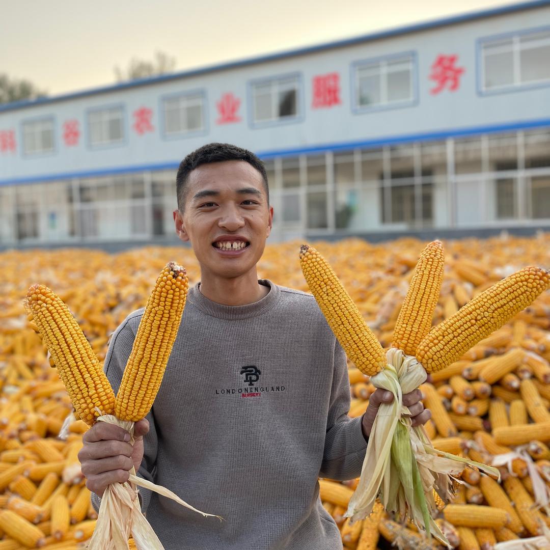 山东科谷农业科技有限公司