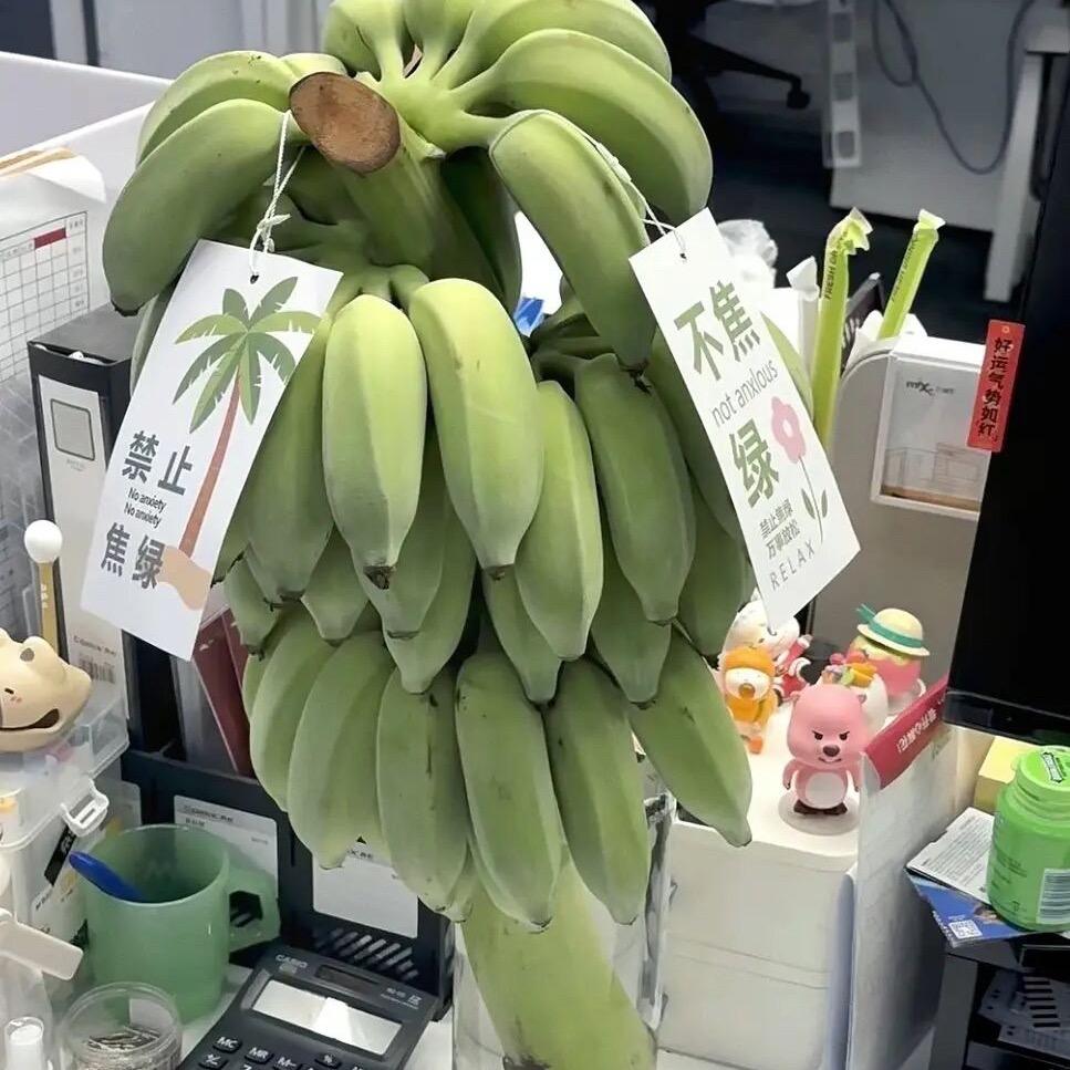 思思护肤