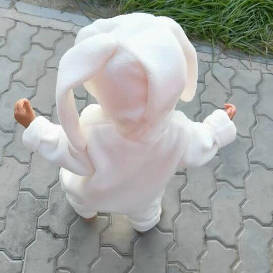 家有神兽🦄️