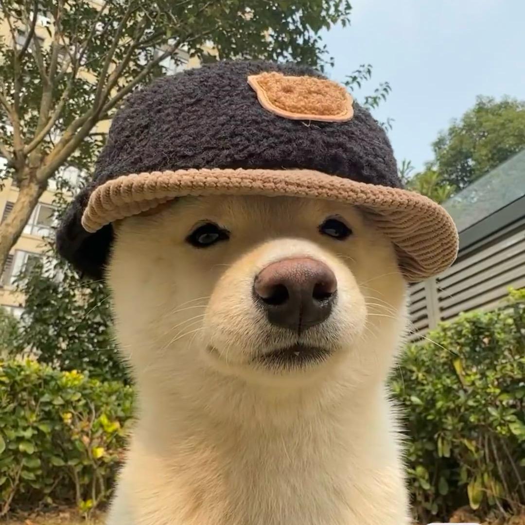 崛起的原始人