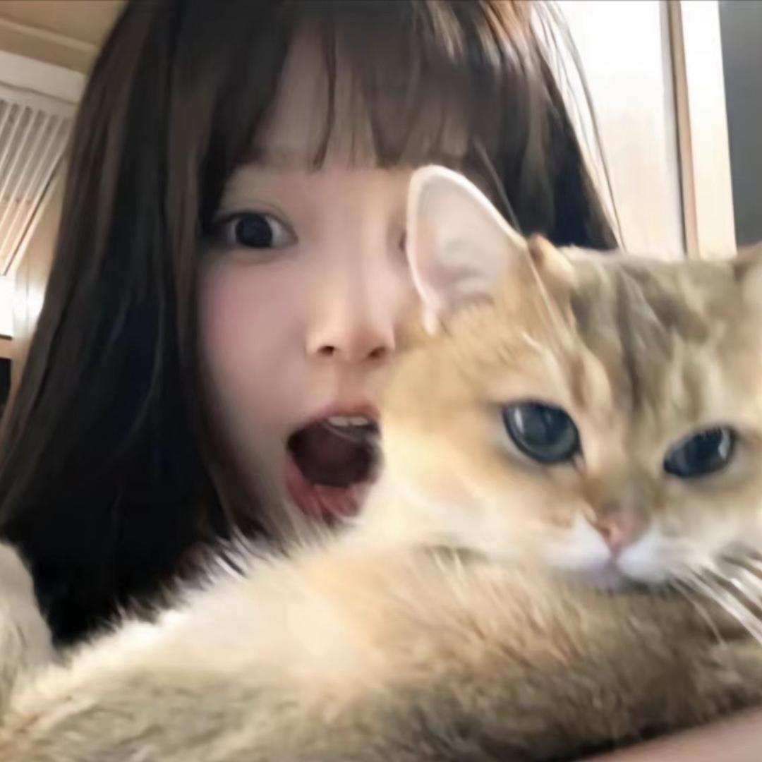 呆呆