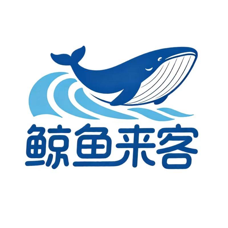鲸流全国家电家居数字活动（亮哥）