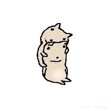 言言言言言言言
