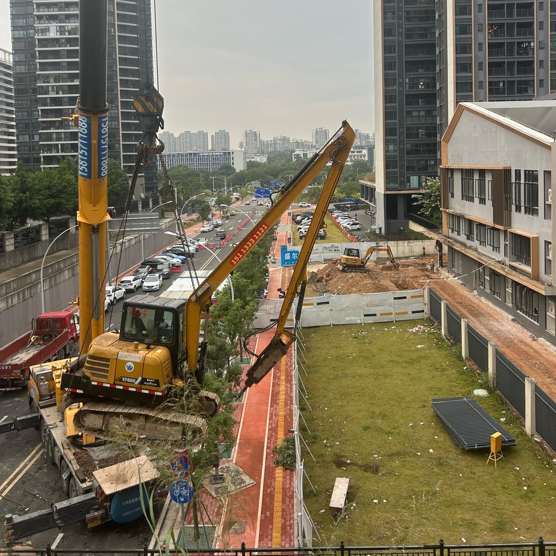 中山市大小长臂