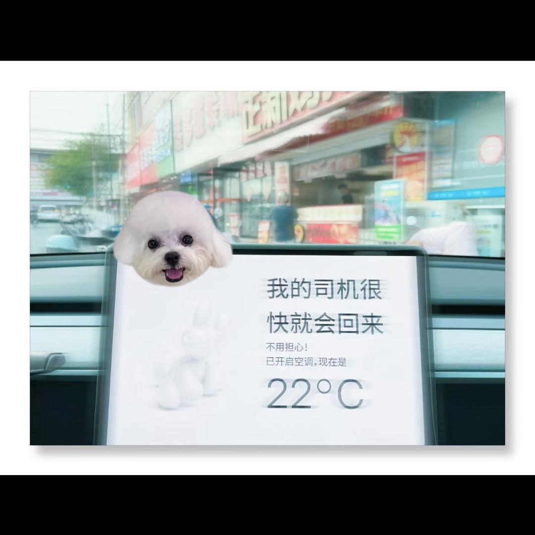 小杰