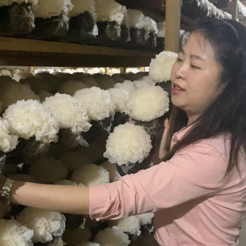 丞悦君燕耳干货专卖店