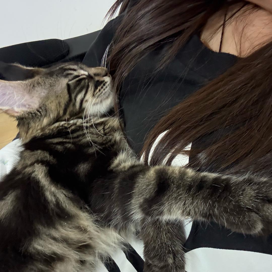 粘人精的小财神