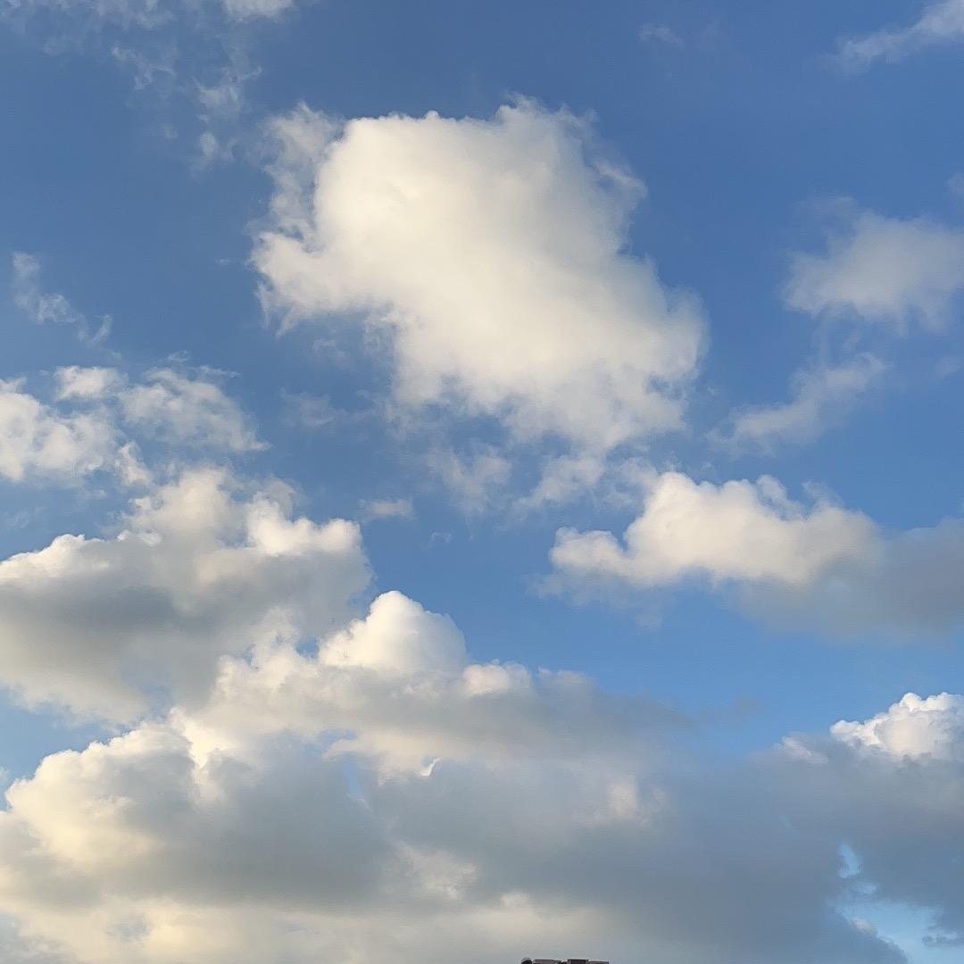 椒盐菠萝