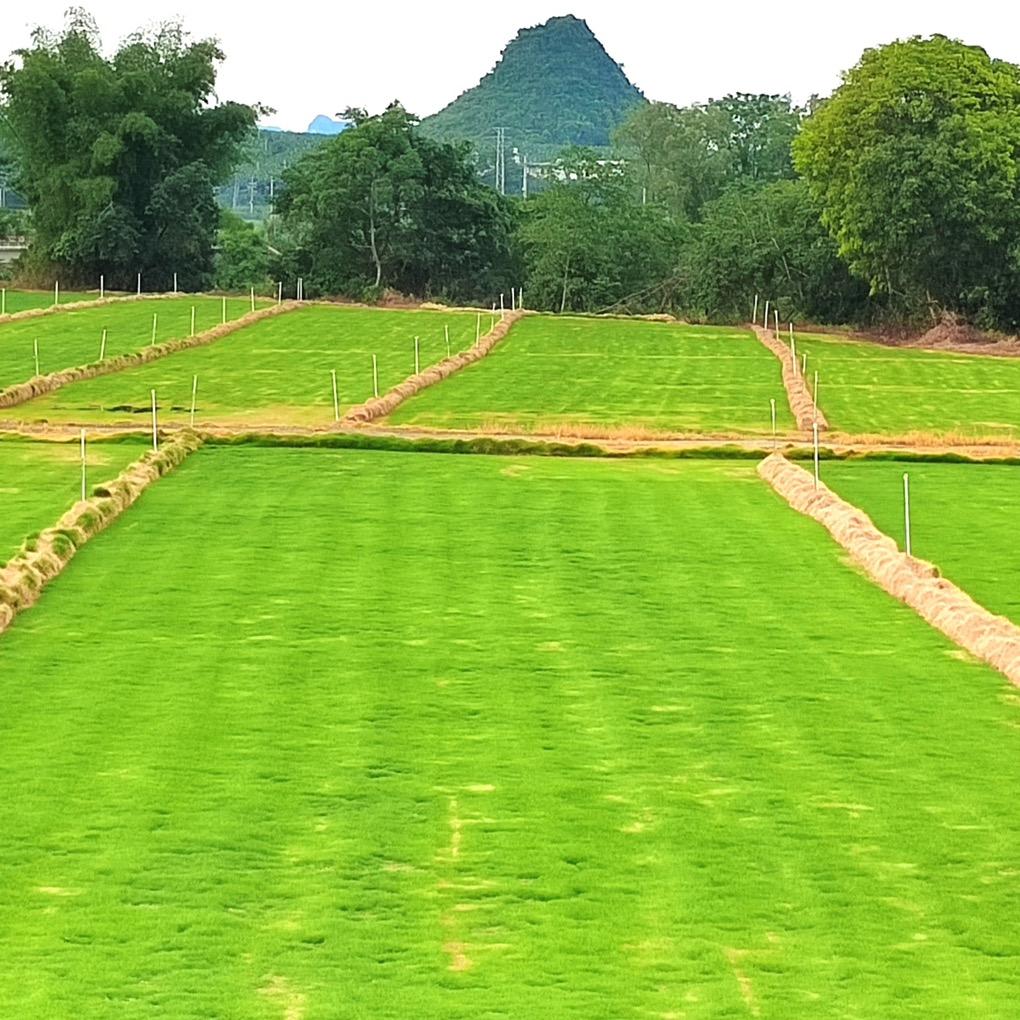 小明同学