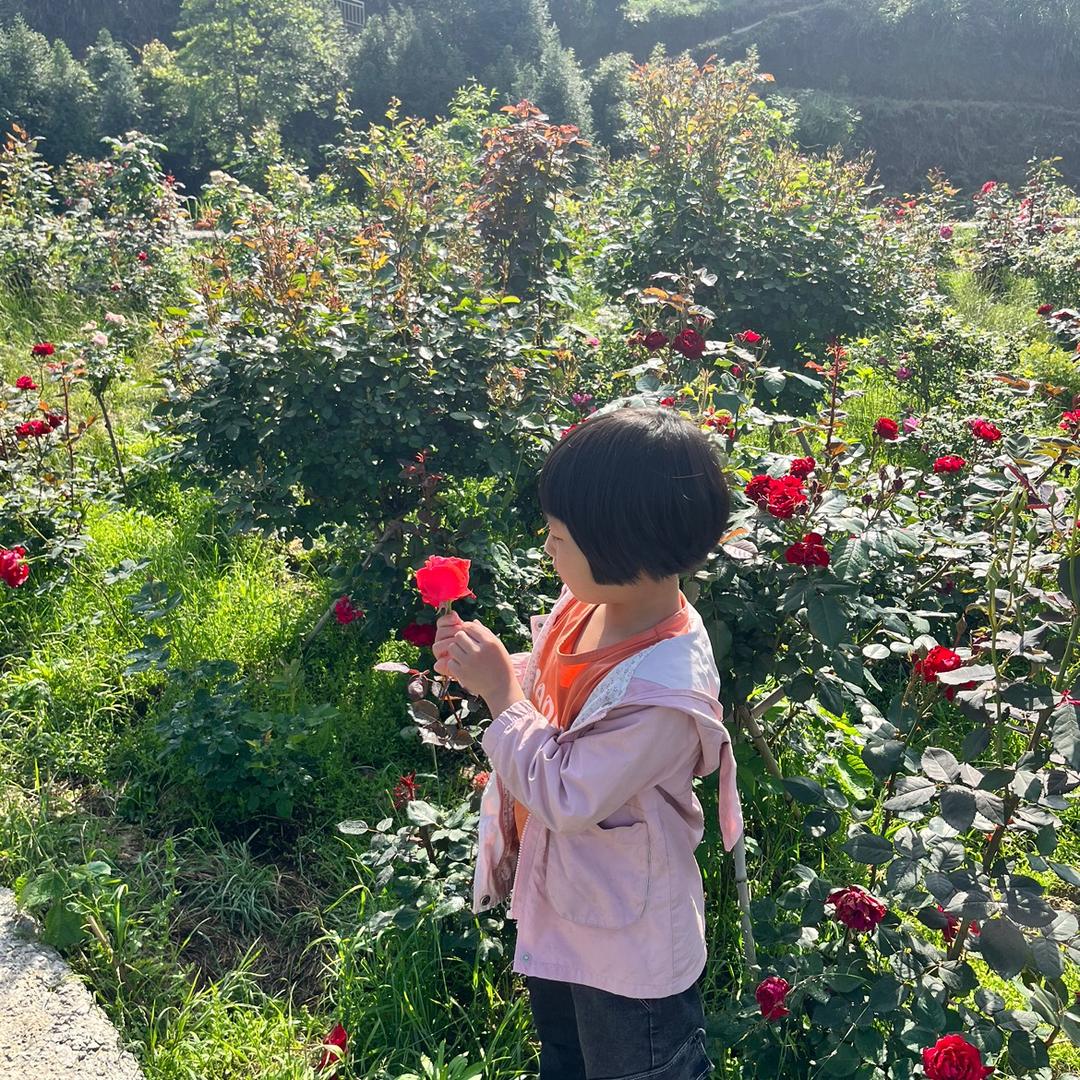 肖🤹‍♀️🎤歌