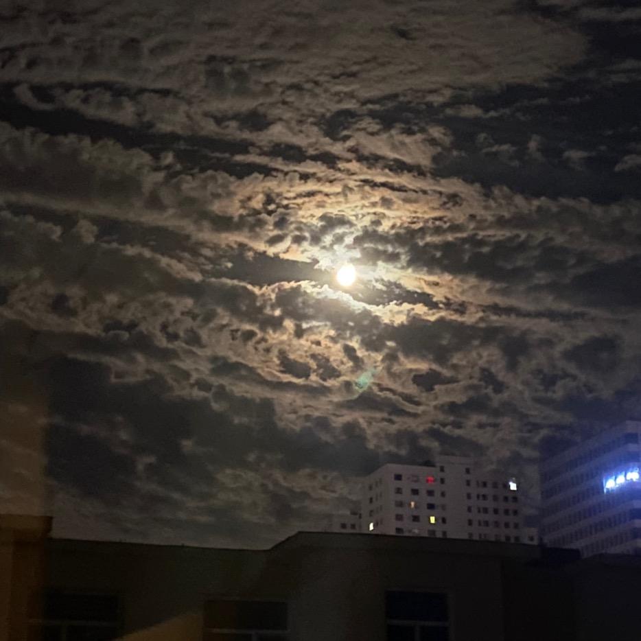 🌈活跃的像个假号