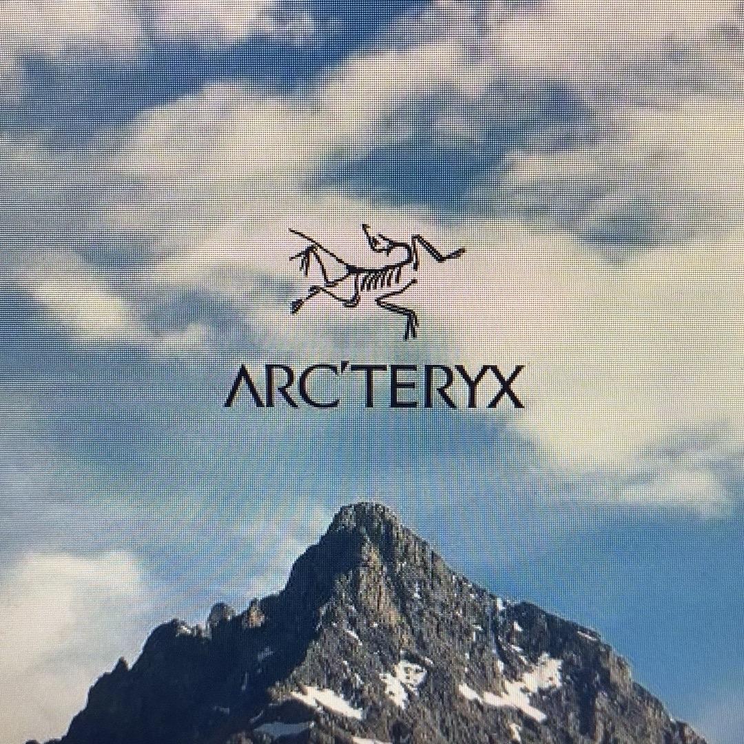 爱情鸟专场