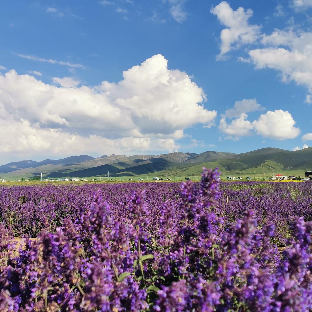 巴啦啦小魔仙317