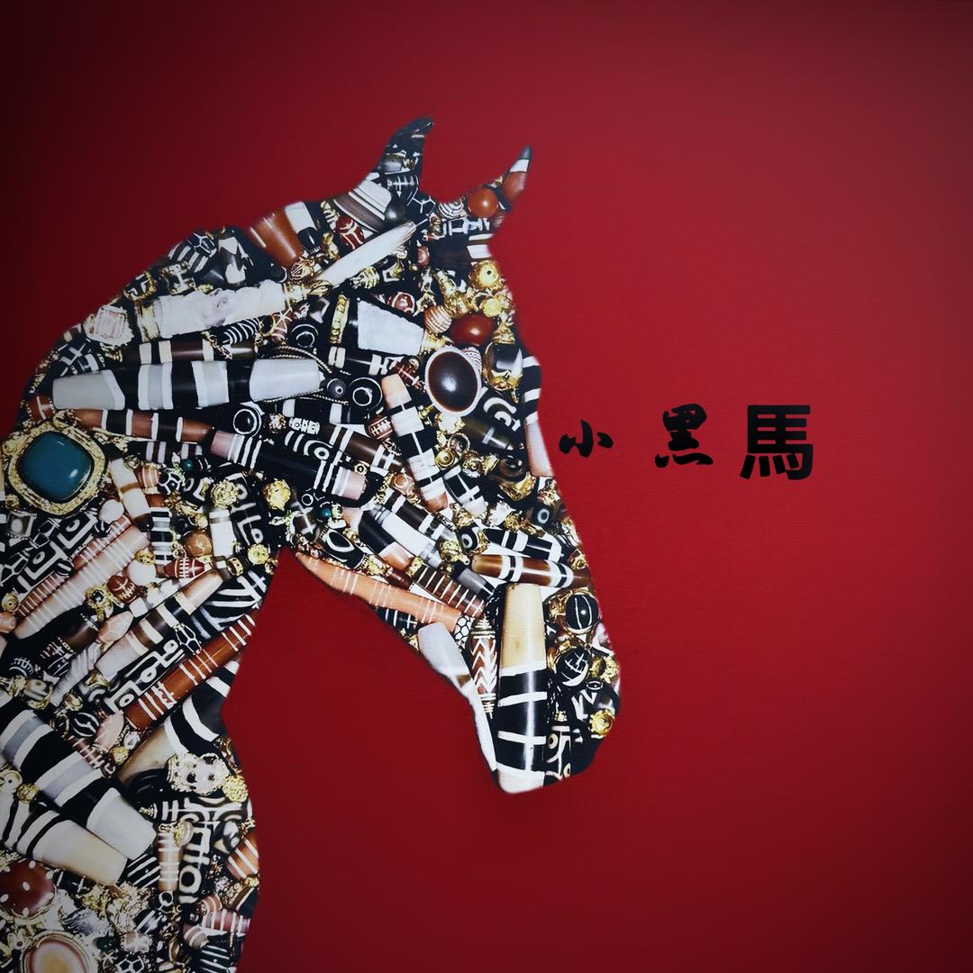 小黑馬。