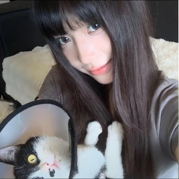 呆小布   、