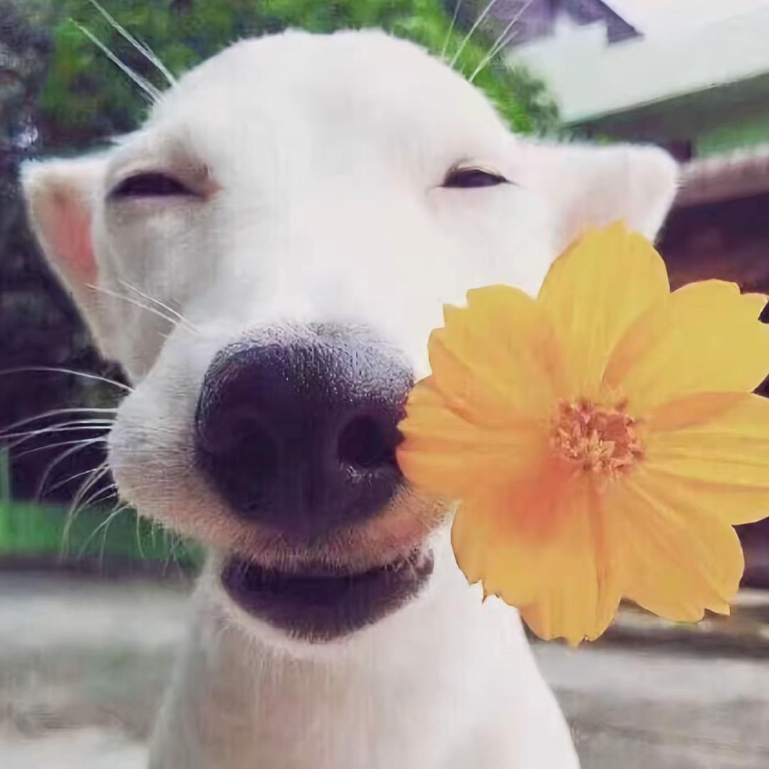 别说永远