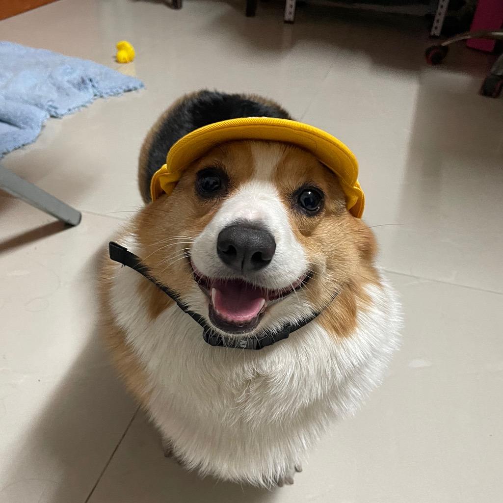 奶油依依妖妖的日常💫