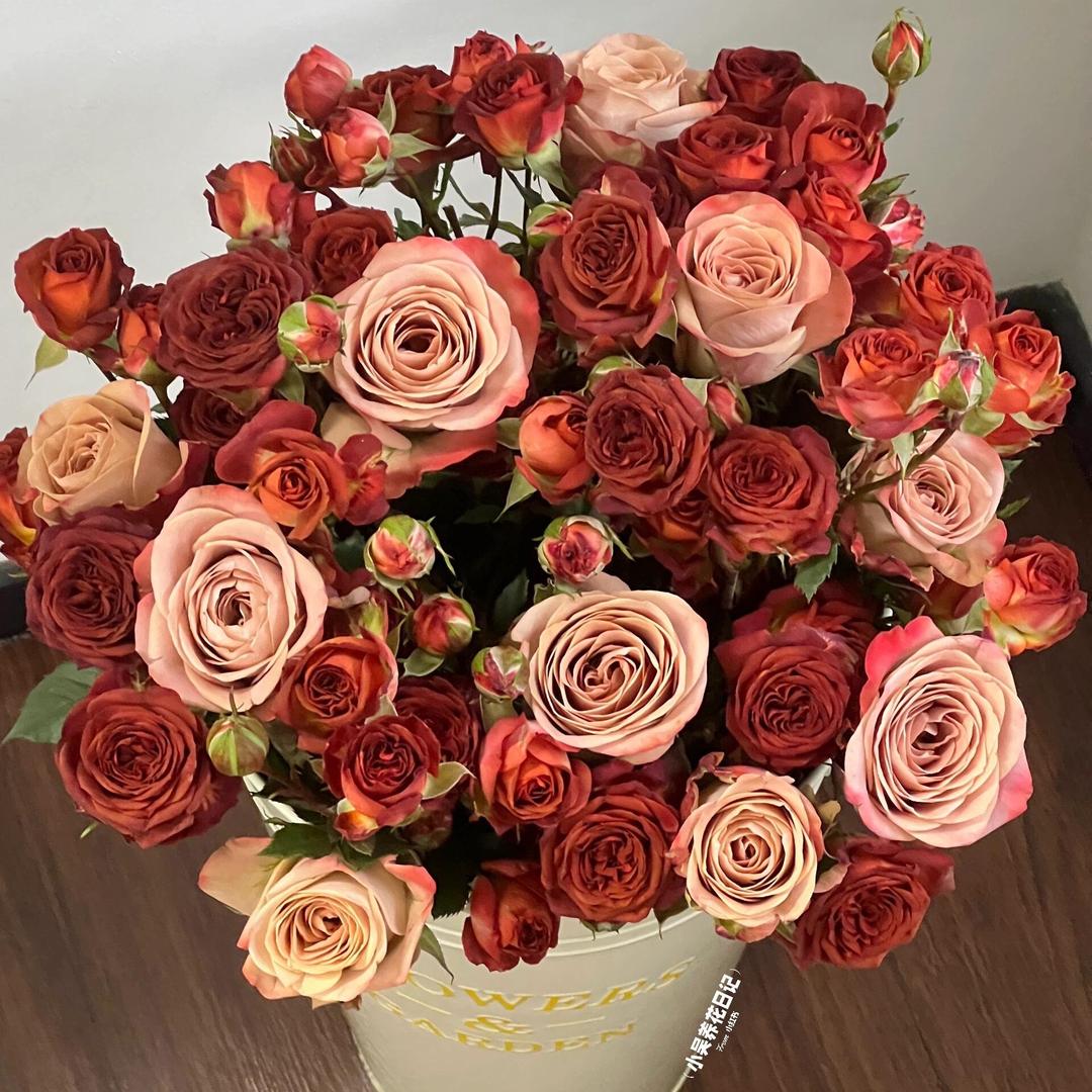 象象花卉