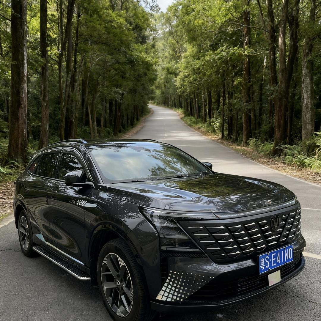 小朱的四代CS75plus车品店