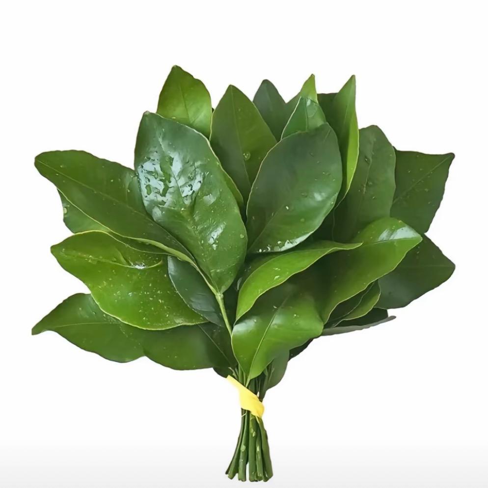 桑Ccc