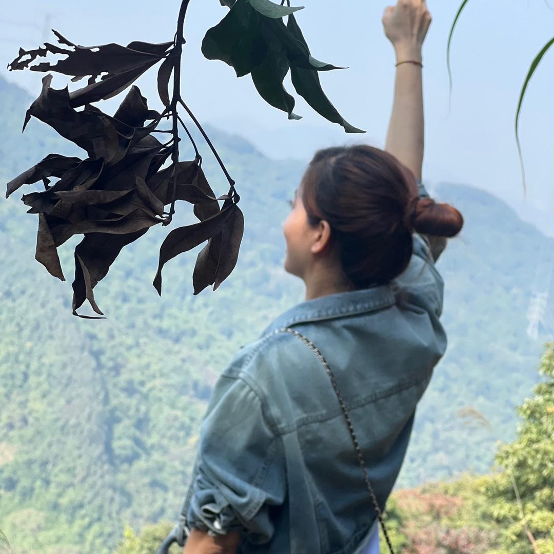 飞翔达稳变压器-张