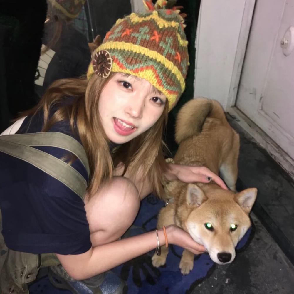 土豆🥔