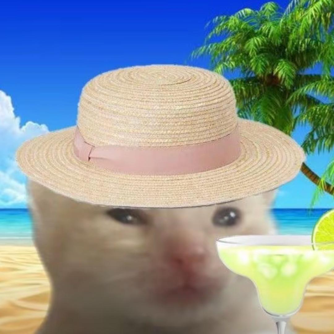 宇宙超级无敌巨无霸惹我直接给你跳爆的喵喵