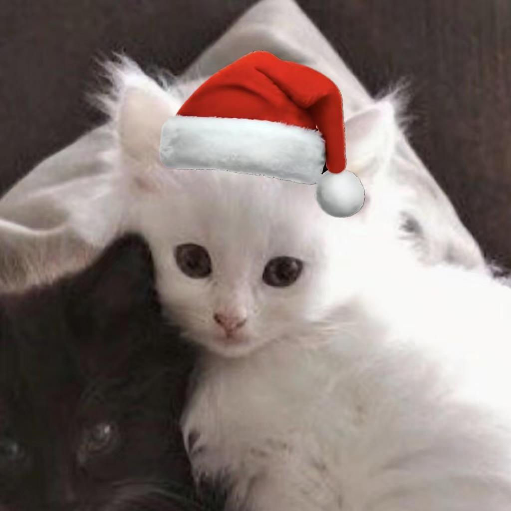 至高无上的御宅大人