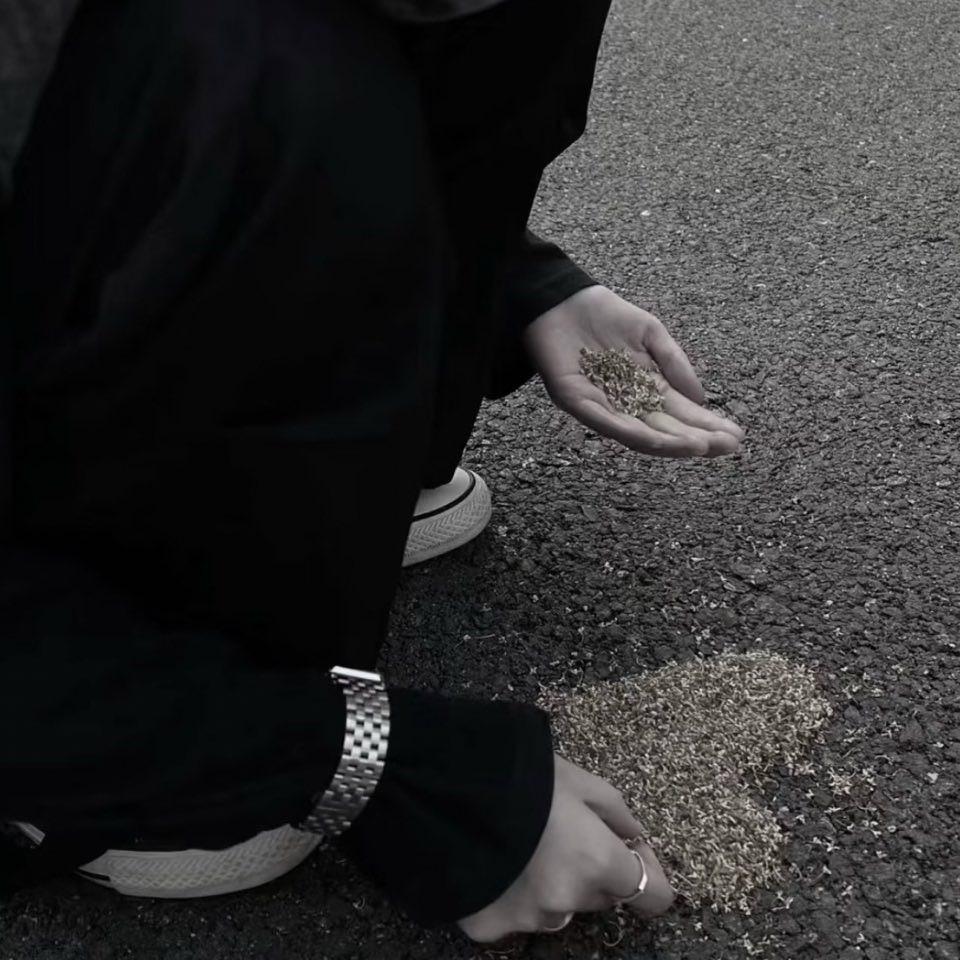 鹤1
