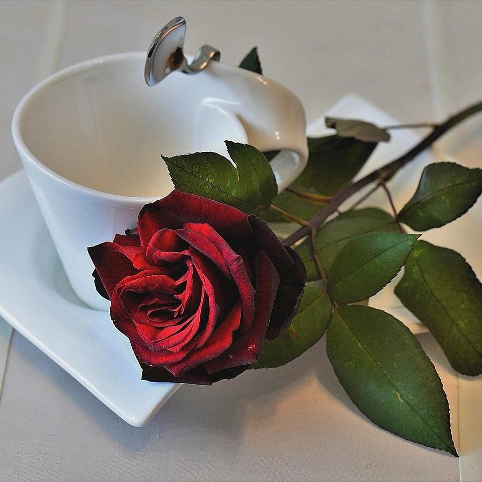 等风来🌹