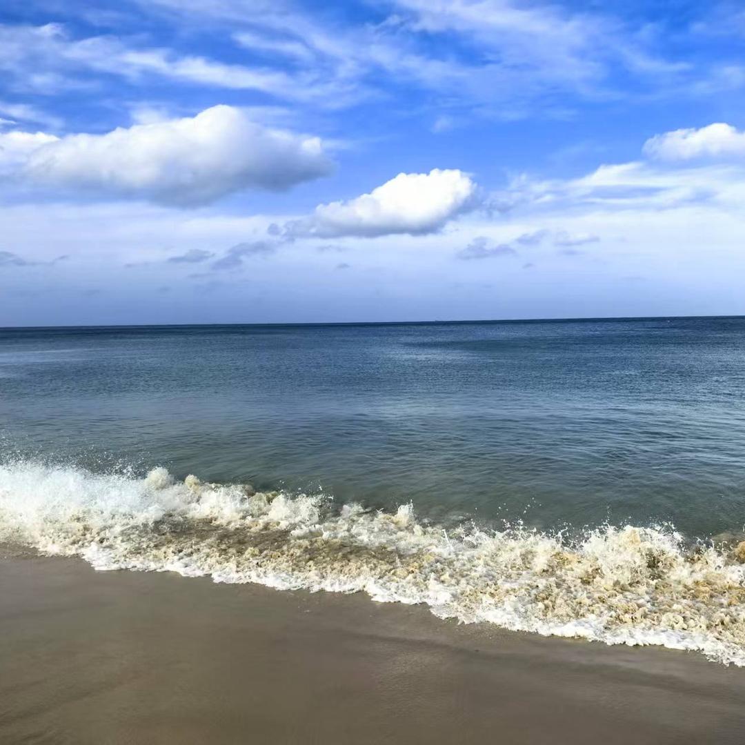 ✎ℳ温柔的✾͡海