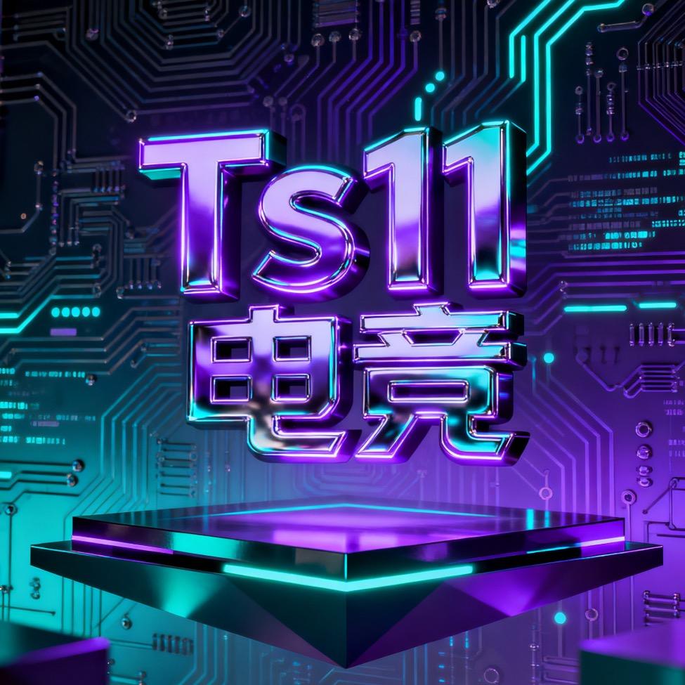 Ts11电竞（三角洲）