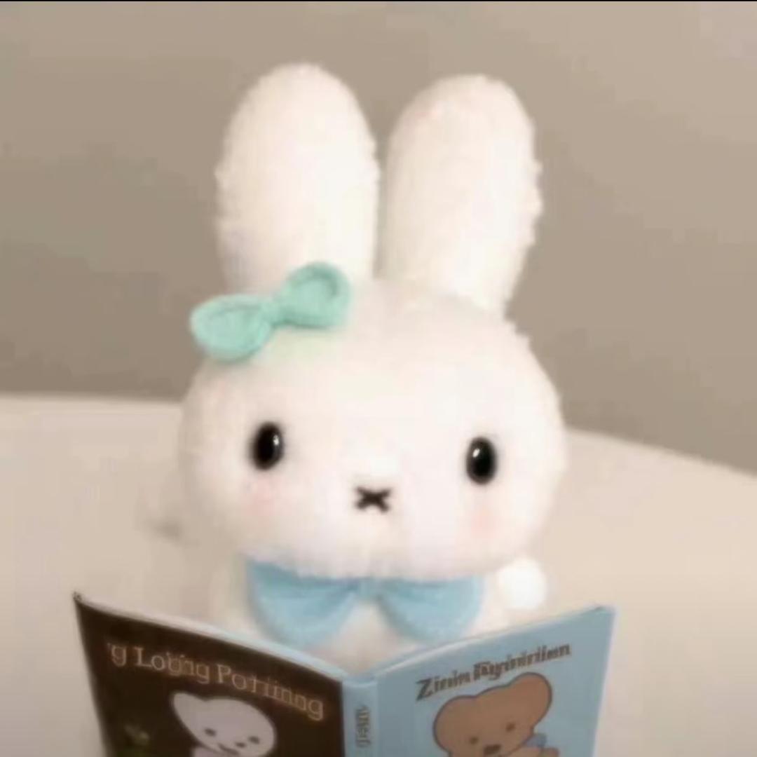 椰壳₍˄·͈༝·͈˄₎◞︎