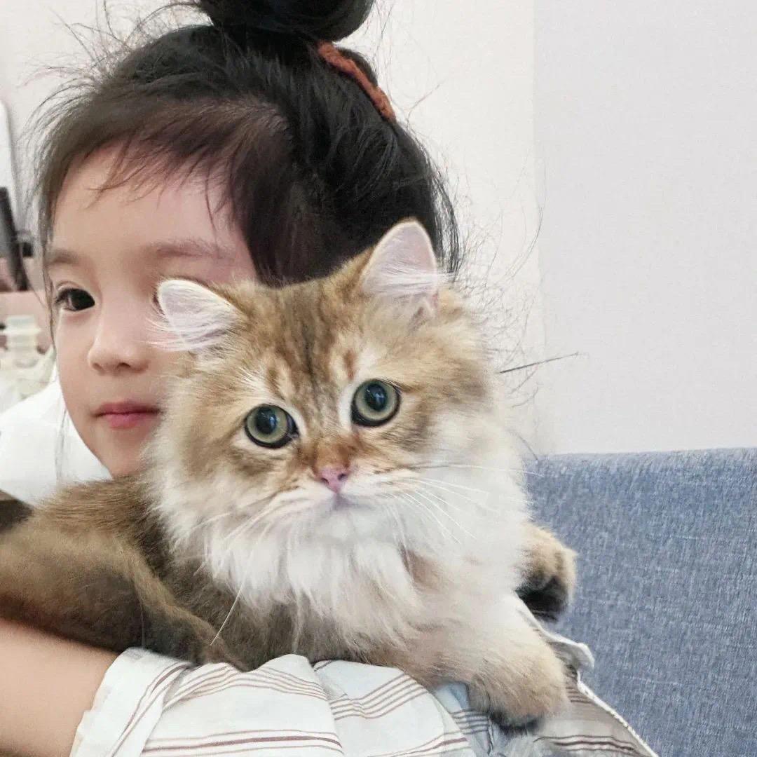 @喵喵短剧