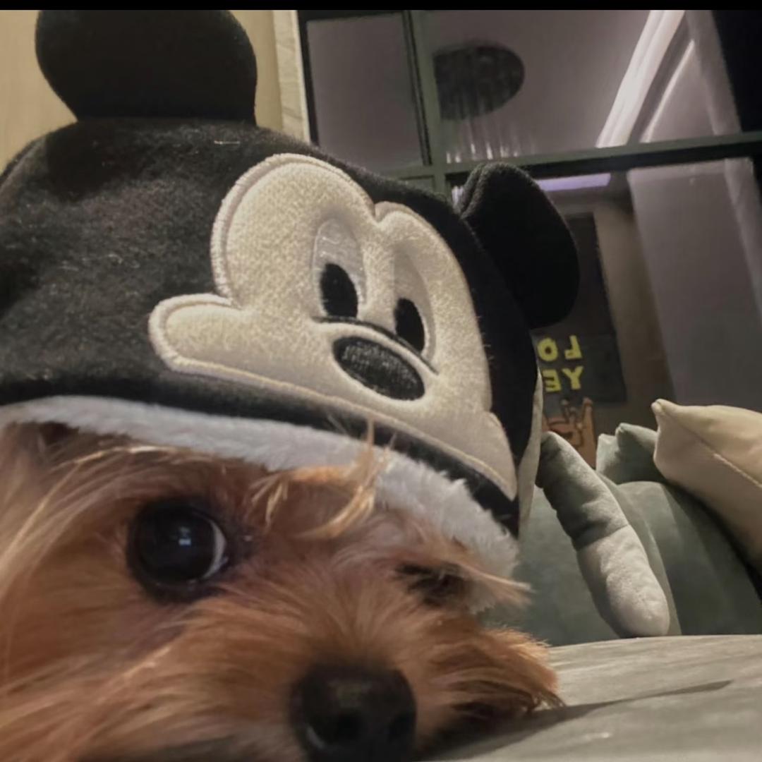 iu_iiiiiirich