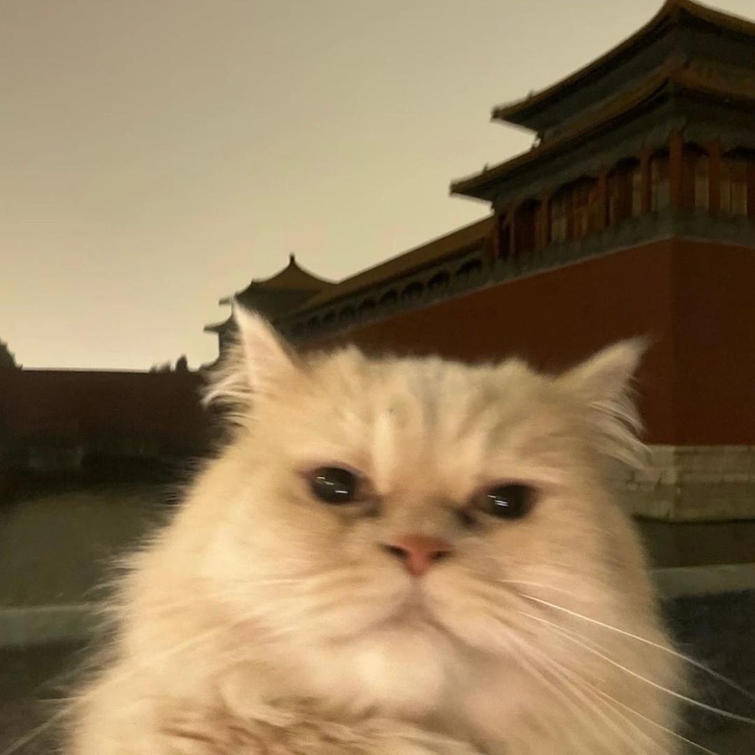 阿泽说书