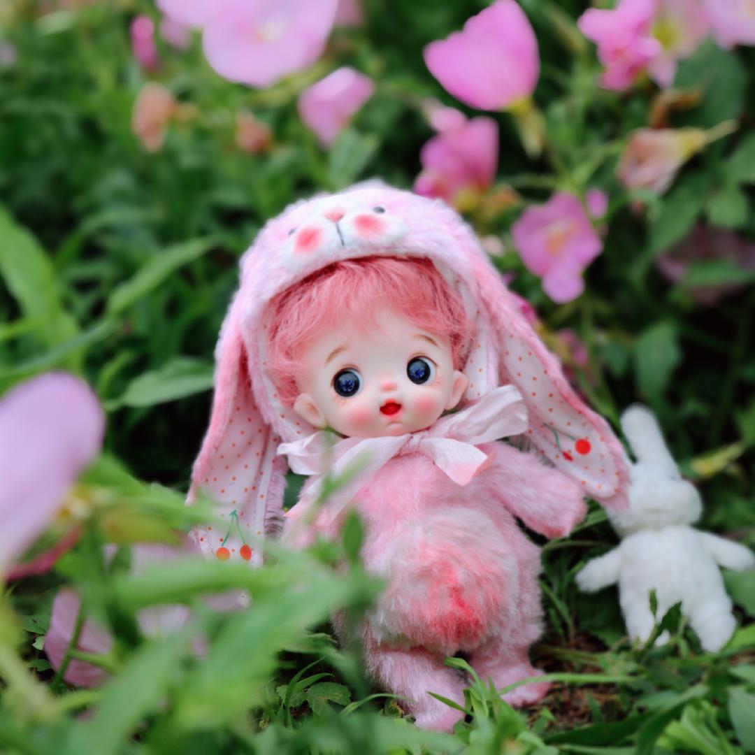 落梨的娃doll（定制娃娃）