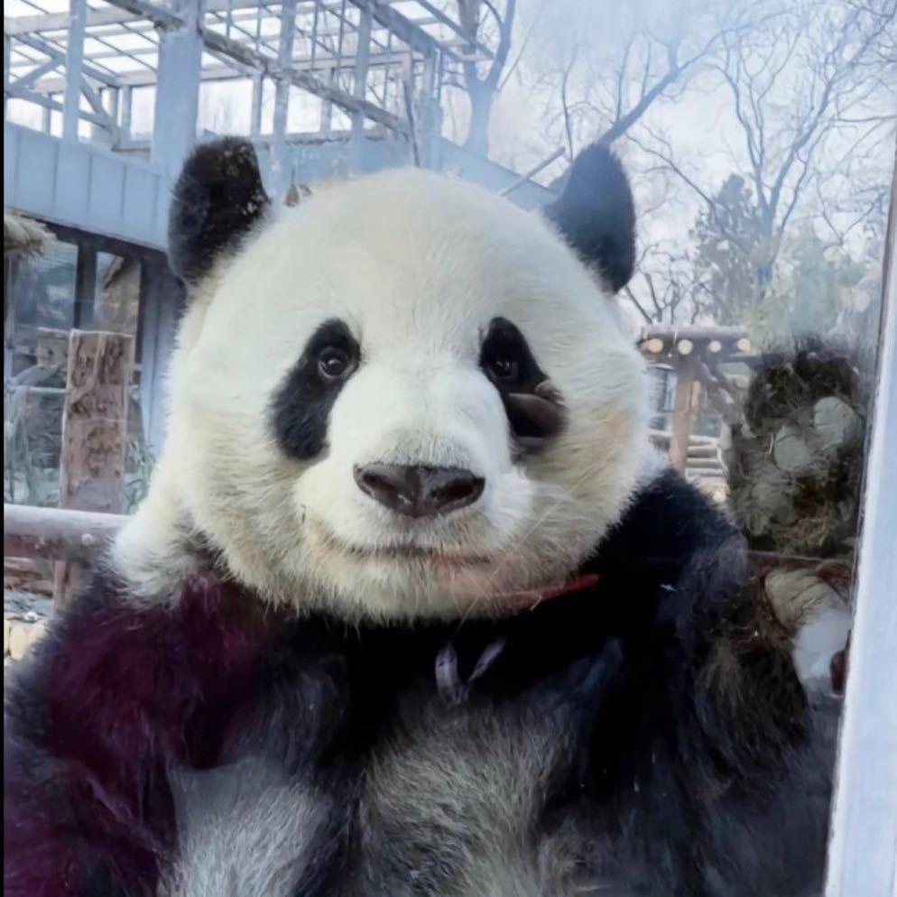 宸珉