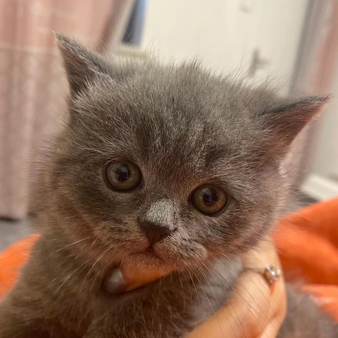 ꧔ꦿ℘㞮᭄ᩚ꯭ᩚ꧔ꦿ孞᭄꧔࿐