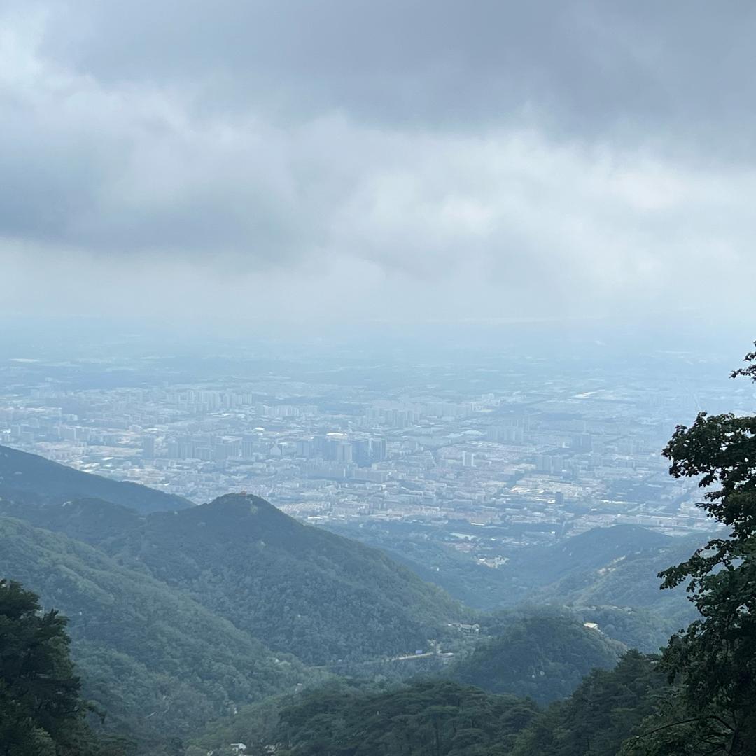 沙雕哥