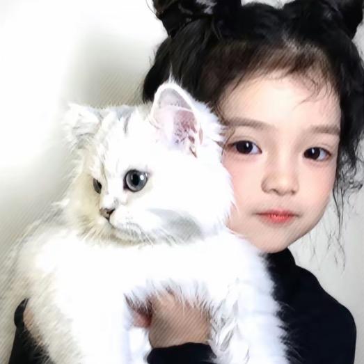 失眠美羊羊