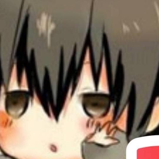 崽崽