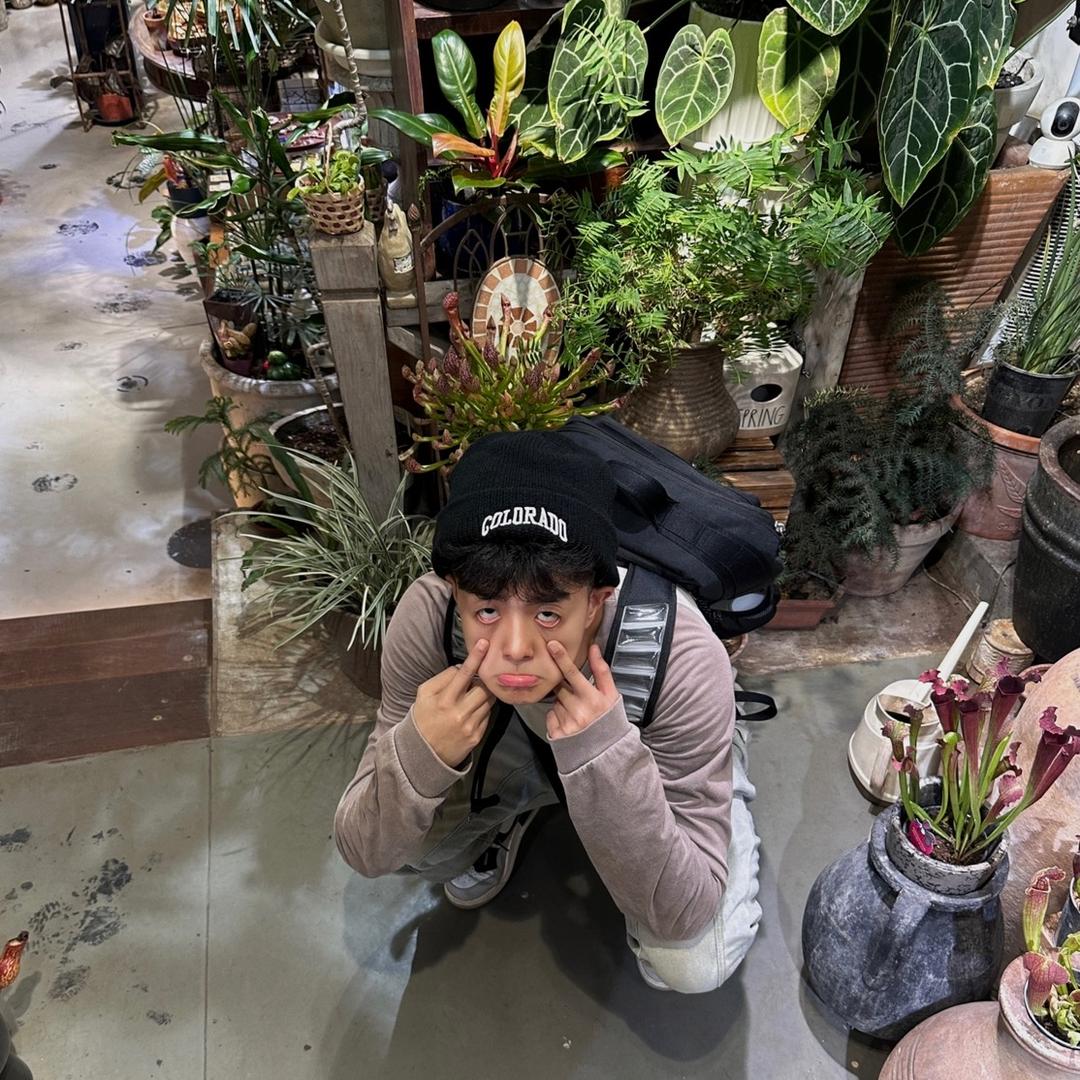 不会歌词