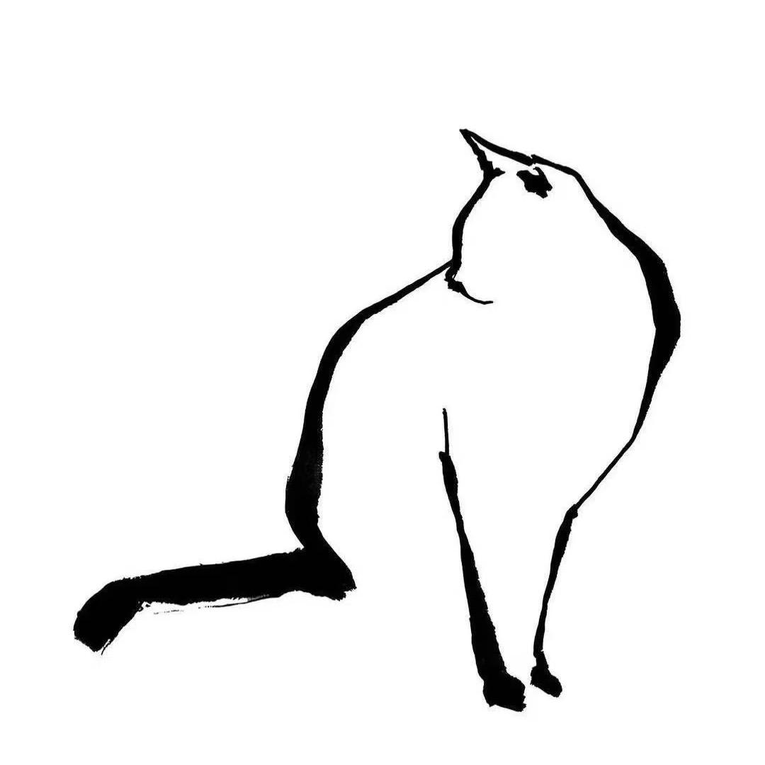 Dale7September兰花猫