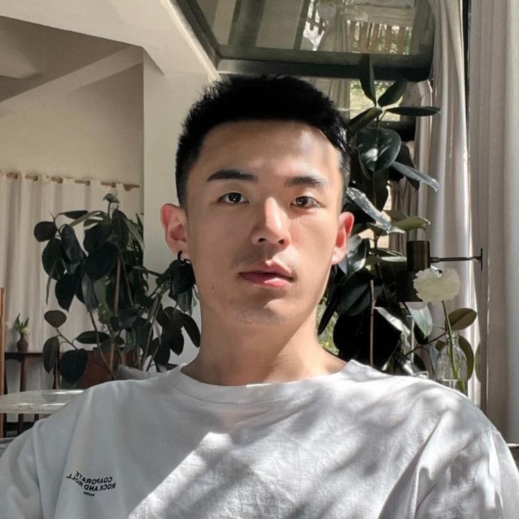 罡砸司马光
