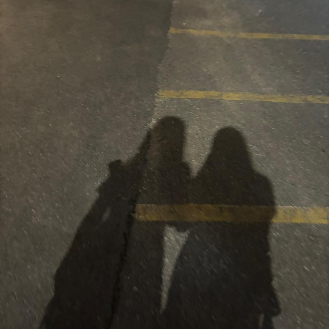 天线短路宝宝🫧