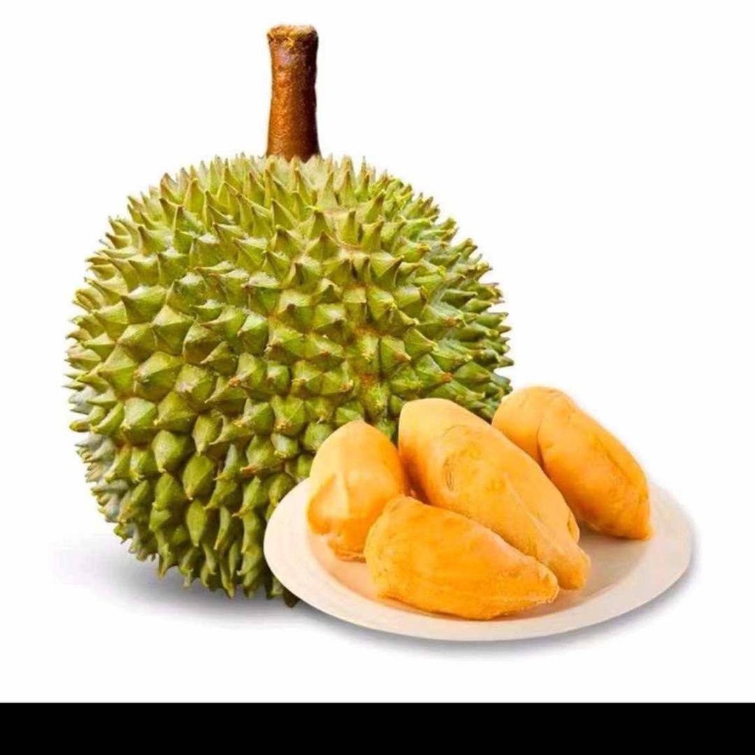 有家榴莲源头供应链